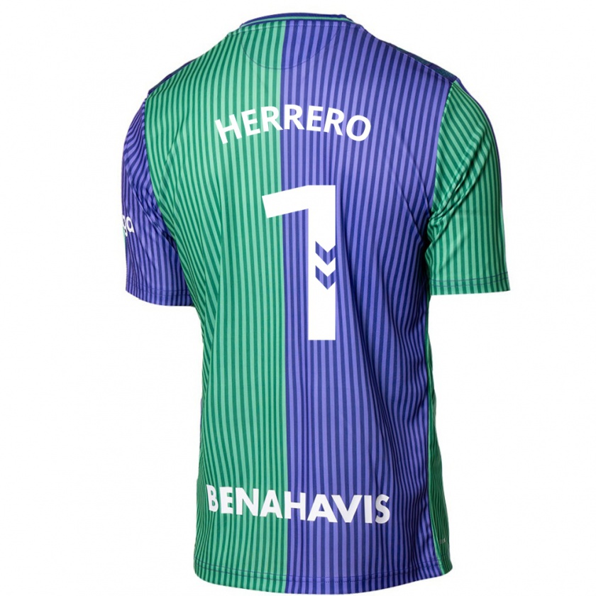 Kandiny Mujer Camiseta Alfonso Herrero #1 Verde Azul 2ª Equipación 2023/24 La Camisa Chile