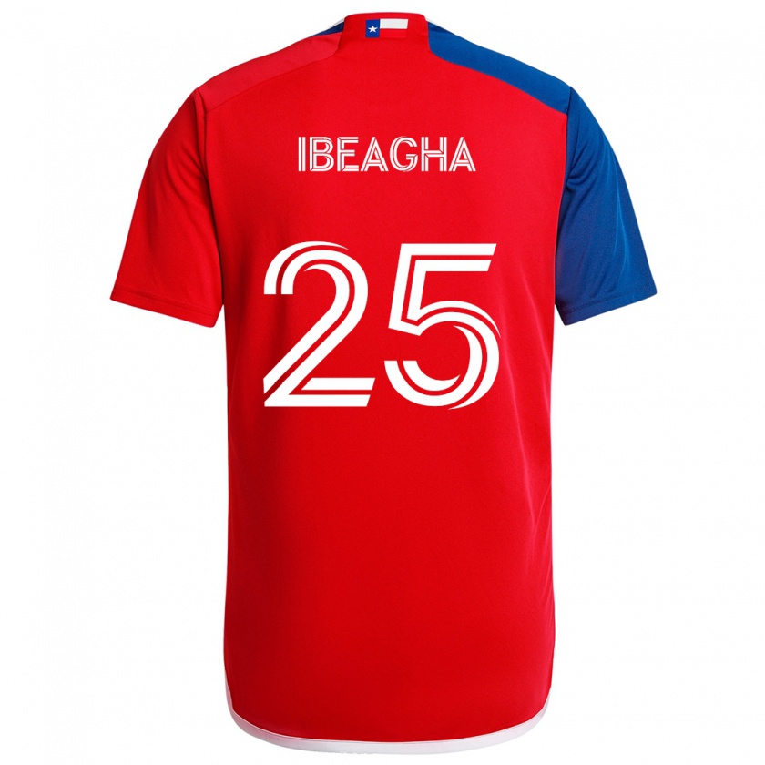 Kandiny Niño Camiseta Sebastien Ibeagha #25 Azul Rojo 1ª Equipación 2024/25 La Camisa Chile