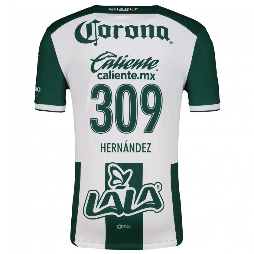 Kandiny Niño Camiseta Julio Hernández #309 Verde Blanco 1ª Equipación 2024/25 La Camisa Chile