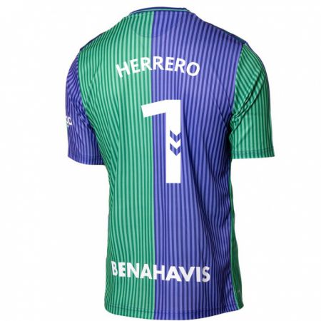 Kandiny Niño Camiseta Alfonso Herrero #1 Verde Azul 2ª Equipación 2023/24 La Camisa Chile